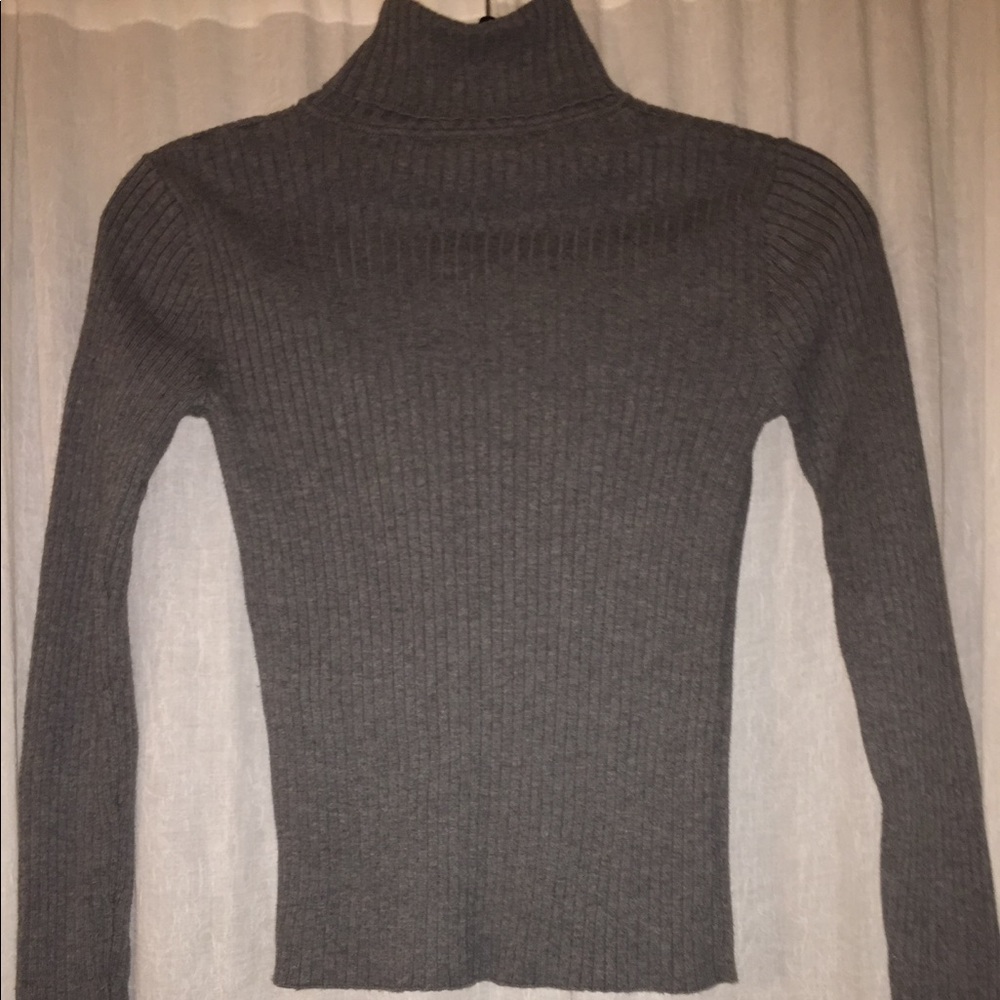 The Limited Fitted Grey Turtleneck